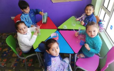 Proyecto mi huerta